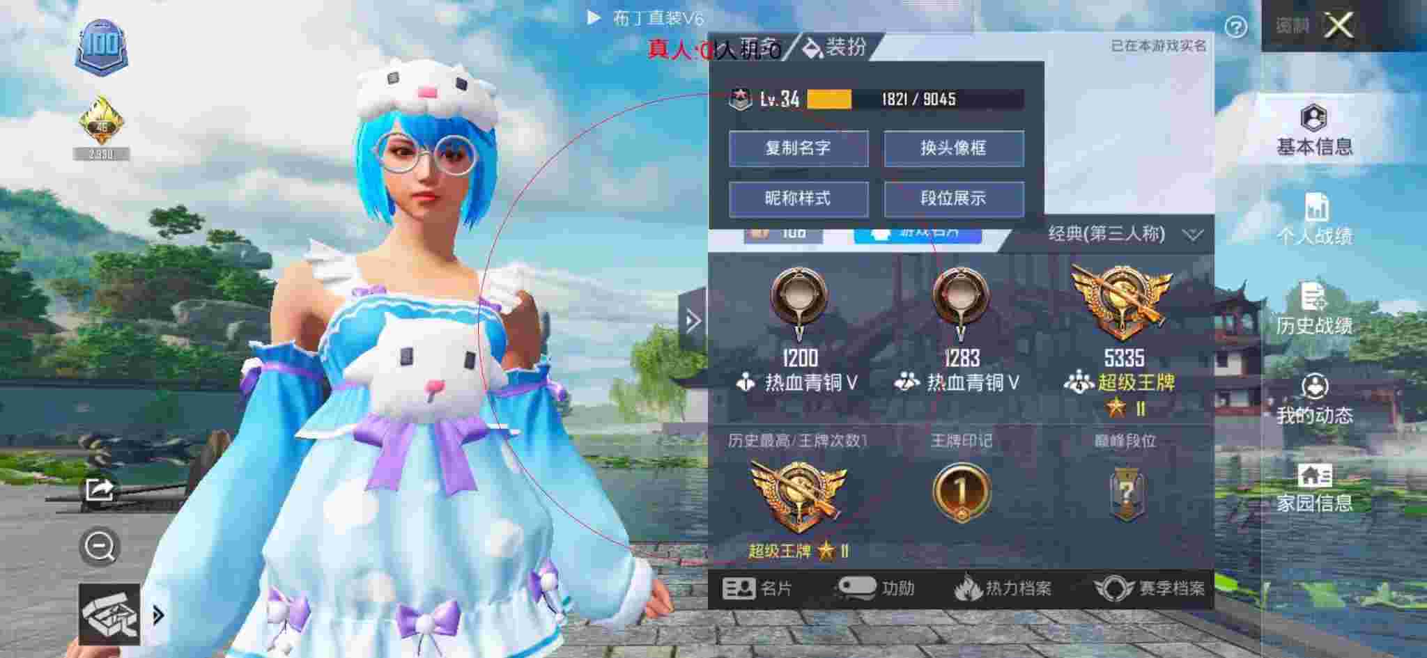 和平精英布丁直装透视 - 和平精英狗狗头像高清辅助预览图